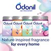 Odonil Nature Air Freshener (Pack of 4) Net 200gm