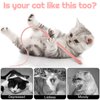 XLSXEXCL 2 Pcs Cat Toy Wand, Cat Toys Interactive Cat Toys for Indoor Cats Silicone Tail Teaser Toy Cat Toys for Bored Indoor Adult Cats Safe Silicone Cat Wand Toy