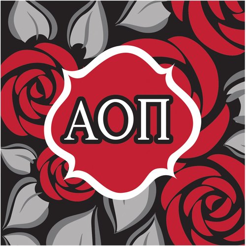Creative Converting 50 Count Alpha Omicron Pi Beverage Napkins, Red/Black