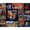 Chronicle Books Star Trek Cats 1000-Piece Puzzle