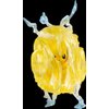 Takaratomy Pokemon Sun & Moon EZW-01 Pikachu Z-Move Catastropika Action Figure