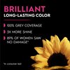 Garnier Hair Color Olia Ammonia-Free Brilliant Color Oil-Rich Permanent Hair Dye, 4.15 Dark Soft Mahogany, 1 Count (Packaging May Vary)
