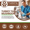 Turkey Tail Mushroom for Dogs, Mushroom Blend, Turmeric & Probiotic for Immune, Digestive & Joint Support, Turkey Tail for Dogs, 60ml