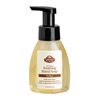 Fabulous Frannie All Natural Ingredients No Synthetics Protect Foaming Hand Soap made with Pure Essential Oils Clove, Lemon, Cinnamon, Eucalyptus and Rosemary 8oz (Pack of 1)