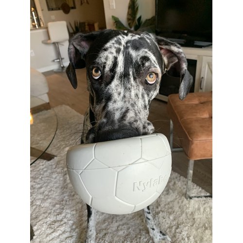 Nylabone Power Play Soccer Ball Gripz Fetch Toy, Squeaky Ball Chew Toy for Dogs, Medium (1 Count)