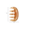 TEONEI Resin Gua Sha Massage Comb,Guasha Scalp Comb,Handheld Gua Sha Scalp Comb Scraping Massage Tool for Head Caring, Relax(2PCS)