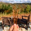 Wildflower Honey Sticks for Tea, Travel & Snacks - Premium Grade Pure Honey Packets are Farm Fresh from US Beekeepers - Each Honey Straw is full of Flavor that You'll Love - A Great Gift Idea (50)