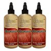 CB4 light Copper Brown Bigen Semi Permanent Hair Color (3 Pack)