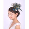 Anglacesmade Bridal Feather Hair Clip Peacock Feather Fascinator Feather Brooch for Wedding Prom Festival Party 20s Flapper Headpiece for Women and Girls