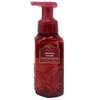 Bath & Body Works Cozy Cashmere, Sunrise Woods, Afternoon Apple Picking Gentle Foaming Hand Soap Pack of 3 With a Himalayan salts Spring Sample Soap.