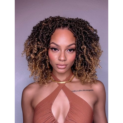 Eacia Yanky Twist Crochet Hair 8 Inch 7 Packs Pretwisted Fluffy Spring Mini Twist Bohemian Passion Twist Pre Looped Crochet Braids Synthetic Hair Extensions (T27#)