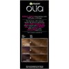 Garnier Olia Oil Powered Permanent Hair Color, 5.3 Medium Golden Brown (Packaging May Vary)