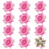 M METERXITY 12-Pack Rose Hair Clips, 2.56 Inch Flower Hairpin Cloth Floral Brooch for Bridal Wedding/Party/Women Hair Accessories, Hair Flowers Headpiece Floral Hair Pins [6.5cm, Light Pink]