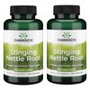 Swanson Stinging Nettle Root (Urtica Dioica) - Herbal Supplement - (100 Capsules, 500mg) 2 Pack