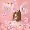 Cat Birthday Decorations, Cat Balloons, Pink 6 Balloon Number, Cat Themed Birthday Party Decorations, 6th Birthday Decorations For Girls
