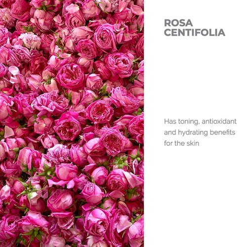 Alteya Organic Centifolia Rose Water 500ml - 100% USDA Certified Organic Big Bottle Authentic Pure Rosa Centifolia Flower Water Steam-Distilled and Sold Directly by The Rose Grower Alteya Organics