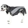 DOGHELIOS 'High Octane' Softshell Neoprene Polar Fleece Reflective Performance Pet Dog Coat Jacket w/Blackshark Technology, X-Small, Black, Grey…