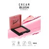 Pastel Cream Blush 41 | Pink | Fresh | Healthy & Natural Look | Ligh Weighted Formula | Sebum Control Richly Pigmented | Easily Blendable | Long Lasting | Semi Matte | 0.18 oz.
