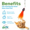 Kat Fly Cat Wand Refill Teaser Toy - Interactive Cat Wand Toy Attachments for Indoor Cat and Kitten, Cat Toy with Real Feather Best Cat Toys for Bored Cats, Cat Teaser Toy, Clown Fish (Orange)