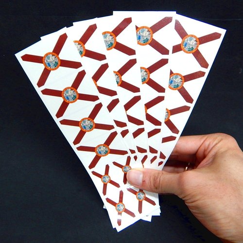 40 Tattoos: Florida State Flag, Party Favors