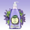 Dalan Therapy French Lavender Ultra Moisturizing Liquid Hand Soap for Normal and Dry Hands Fresh Clean and Soft Feeling (13.5 Fl Oz / 400 mL (Pack of 12))