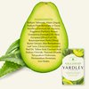 Yardley London Nourishing Bath Soap Bar Aloe & Avocado, Conditions Skin with Creamy Avocado & Olive Extracts, 4.0 oz Bath Bar, 1 Soap Bar
