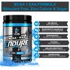 eFlow Nutrition Endure BCAA Plus EAA - Essential Amino Acids Electrolyte Powder Intra Workout - Improve Energy, Recovery and Performance - Warrior Gummy Bear(30 Servings)