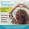 NOTHING BUT Clarifying Shampoo Sulfate-Free Detox for Natural Hair - Hair Shampoo - Removes Buildup - 12oz - Single