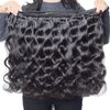 Bundles with Closure Human Hair Body Wave 12 14 16+10 Inch 100% Unprocessed Brazilian Virgin Human Hair 3 Bundles with Closure Human Hair Extensions with 4x4 Free Part Lace Closure Natural Black