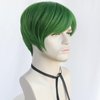 HUNIGIR Mens Green Wig Short Straight Wig Green Boys Anime Wig Heat Resistant Synthetic Halloween Cosplay Wig (Green)