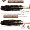 Hetto Curly Clip in Hair Extensions Human Hair #2 Darkest Brown Hair Extensions Clip in Human Hair Full Head Natural Wavy Clip in Extensions 20 Inch 7pcs 105+20g