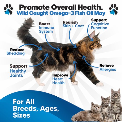 Omega 3 Fish Oil for Cats - Better Than Salmon Oil for Cats - Kitten + Cat Vitamins and Supplements - Cat Health Supplies - Cat Dandruff Treatment - Liquid Fish Oil for Pets - Cat Shedding Products