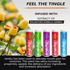 Xero Picks Energy Infused Flavored Toothpicks with Caffeine, B12 & B6-100 Picks (5 Pack Variety)