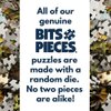Bits and Pieces – 750 Piece Jigsaw Puzzle for Adults – Garden Birdbath, Busy Bird Fountain - by Artist Alan Giana, Completed Puzzle Size: 20" x 27"