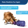 PetSafe Busy Buddy Tug-A-Jug Dog Toy – Slow Feeder and Trainer – Small