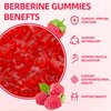 GrnLife Berberine Gummies with Ceylon Cinnamon 1500mg High Potency Berberine HCL Supplement for Immune and Metabolism Support, Sugar Free, Raspberry Flavor - 60 Count