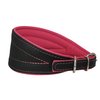 Real Leather Extra Wide Padded Tapered Dog Collar Glossy Black Greyhound Saluki Deerhound Lurcher Whippet Dachshund (16.25"-18.75" Neck; 3" Wide, Pink)