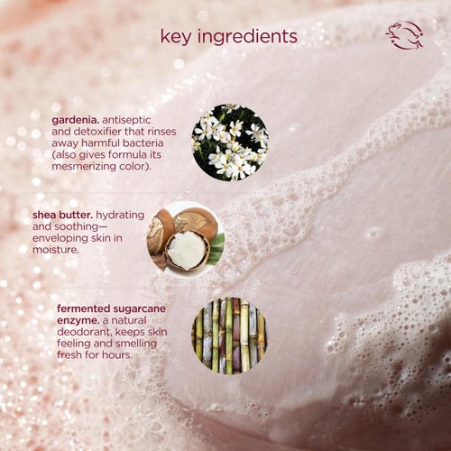 HANNI Cocoon Cleanse Serum with Shea Butter, Soap-Free Body Wash, Hydrating Cleanser with Eucalyptus, 3.7 oz (2 Pack)