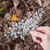 Catery Flower Crystal Bride Wedding Hair Comb Hair Accessories with Pearl Bridal Side Combs Headpiece for Women Pack of 1(Silver)