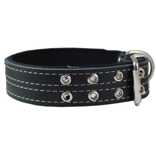 Genuine Leather Dog Collar, Padded Black, 1.5" Wide. Fits 14"-18" Neck Size, Medium