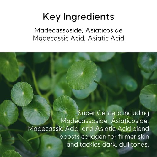 FROM NONE Madecassoside Blemish Control Toner Padsㅣ120 Pads, Vegan Face Gauze Pads, Improve Uneven Skin Tone, Centella Asiatica, Niacinamide, Low pH, Low-Irritant, for Sensitive Skin