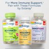 SOLARAY Buffered Vitamin C 500mg - Plus Rose HIPS and Acerola - Immune Support Supplement - Vegan, Lab Verified, 60-Day Guarantee - 100 Servings, 100 VegCaps