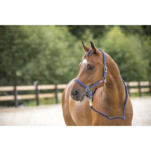 HORZE Cooper Halter with Lead Rope - Peacoat Dark Blue - Warmblood