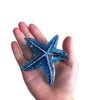 Funny Big Starfish Hair Clip,Acetate Hair Clip,Big Claw Clip for Women,Blue, 1 Count (Pack of 1)