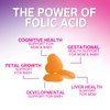 Prenatal Vitamins for Women with Folic Acid 1335mcg, Fetal Support Prenatal Multivitamin and Mineral Gummy, Vitamin A, C, D3, B12, B6 & Folate for Pregnant & Nursing Women - 120 Gummies, 60 Day Supply