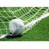 Soccer Net TOPINCN Soccer Goal Nets Sports Replacement for Lacrosse and Soccer (6X4foot,8X6foot,12X6foot,24X8foot)(24X8FT)