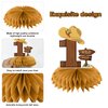 10Pcs My First Rodeo Birthday Party Supplies Western Cowboy Honeycomb Centerpieces Decorations for Baby Boys, Western Cowboy Theme One Year Old Birthday Table Centerpieces Party Supplies, Wild West