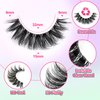 Natural Lashes Fluffy False Eyelashes Wispy Lashes 3D Volume Strip Lashes 14mm D Curl Fake Eyelashes with Clear Band 10 Pairs Eye Lashes by Calphdiar