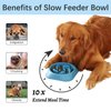 MateeyLife Slow Feeder Dog Bowls 2PCS, Anti-Choking Puzzle Dog Food Bowls, Anti-Slip Interactive Dog Feeding Bowls Slow Down Eating, Bloat Stop Maze Dog Dishes for All Breeds Pets LightBlue&DarkBlue