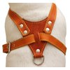 Genuine Leather Dog Harness, Medium. 25.5"-29" Chest size, 1" Wide, Amstaff, Pitbull